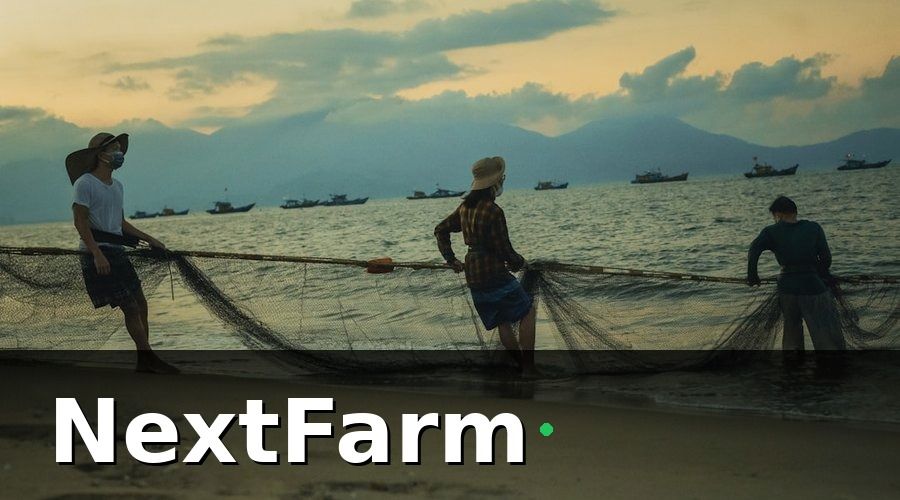 NextFarm — 2. Quy Trình Nuôi Tôm Sú Chuẩn VietGAP: 7 Bước Từ Ao Đến Xuất Hàng