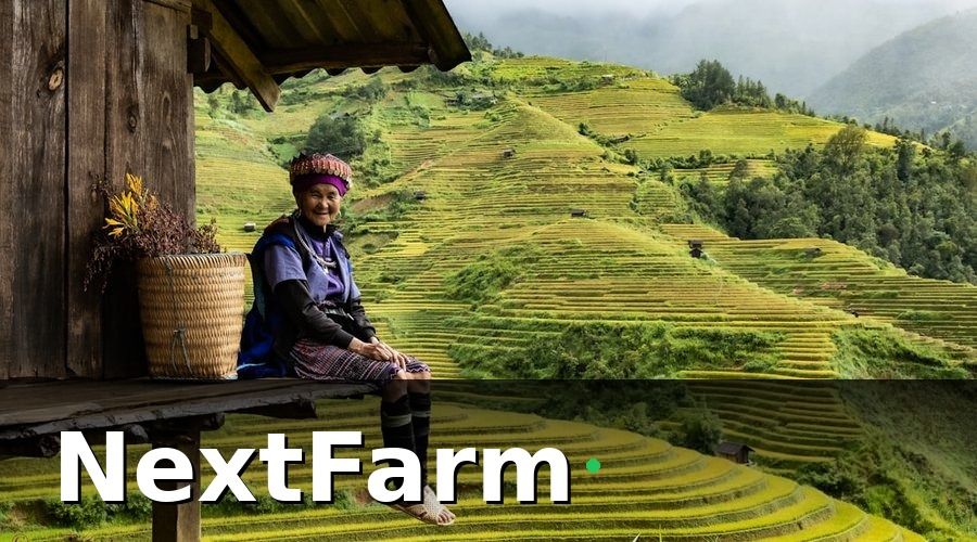 NextFarm — Thực Trạng Kết Nối Ở Vùng Nông Nghiệp Việt Nam