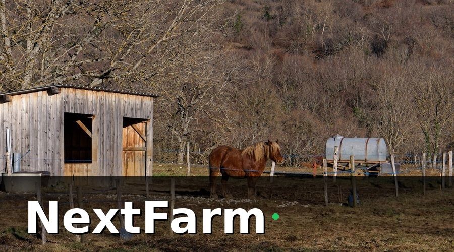 NextFarm — Tại Sao Offline-First Quan Trọng Đặc Biệt Với Nông Nghiệp?