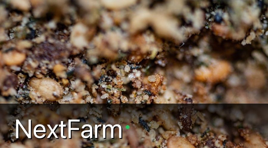 NextFarm — Phân Bón Hữu Cơ Vi Sinh Là Gì?