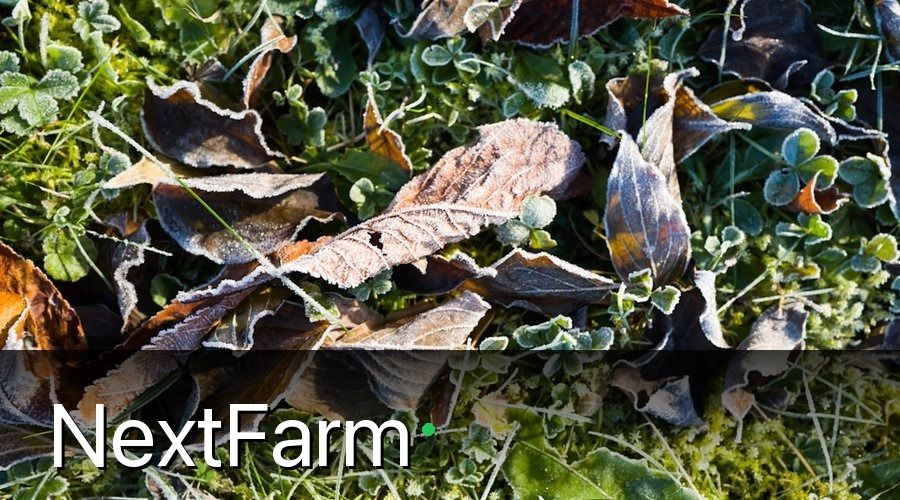 NextFarm — Đặc Điểm Nổi Bật Của Phân Bón Hữu Cơ