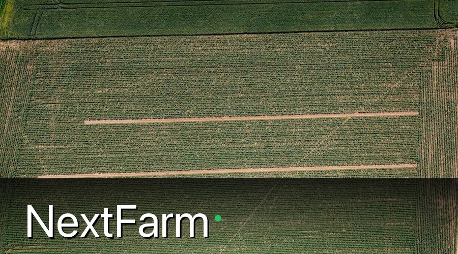NextFarm — Hướng Dẫn Cách Dùng Phân Bón Hữu Cơ Vi Sinh Đúng Cách