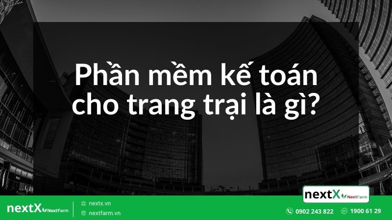 phần mềm 