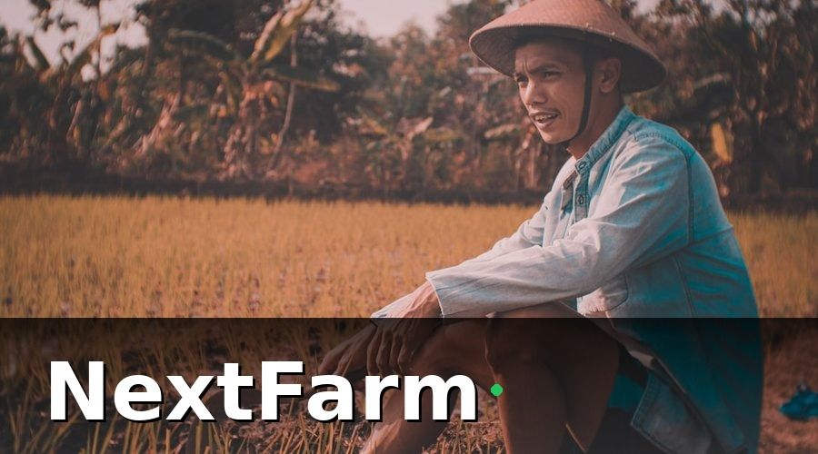 NextFarm — Phân Tích Chi Tiết Từng Giải Pháp