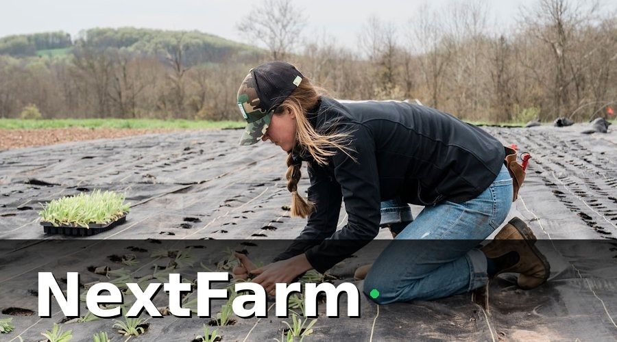 NextFarm — Chất Lượng Nông Sản Đang Được Kiểm Soát Như Thế Nào?