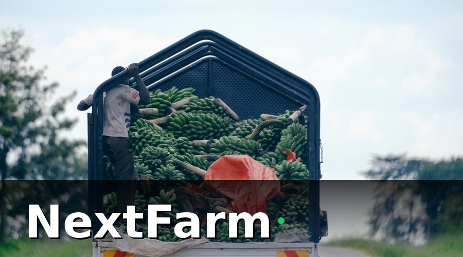 NextFarm — Hành Trình Nông Sản Qua Lăng Kính Số