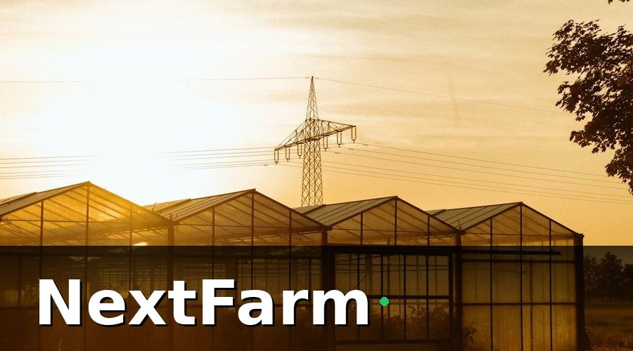 NextFarm — Tính Năng Bổ Sung Đáng Xem Xét