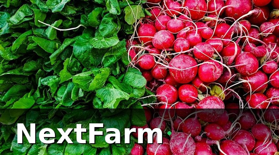 NextFarm — Phần Mềm ISO 22000 Nông Sản Khác Gì So Với Phần Mềm ISO Thông Thường?