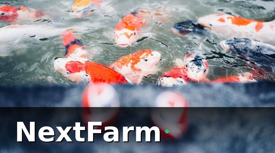 NextFarm — Tại Sao Nuôi Cá Cần Phần Mềm Quản Lý Riêng?