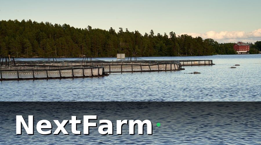 NextFarm — Ba Mô Hình Nuôi Cá — Yêu Cầu Phần Mềm Khác Nhau Hoàn Toàn