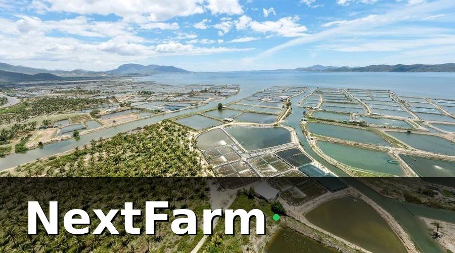 NextFarm — Tiêu Chí Lựa Chọn Phần Mềm Quản Lý Ao Nuôi Tôm Phù Hợp