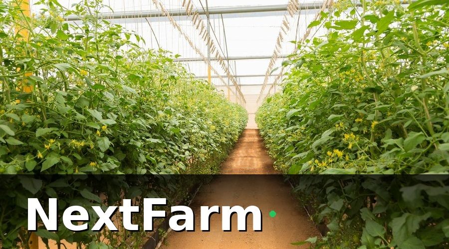 NextFarm — Tính năng 2 – IoT giám sát môi trường