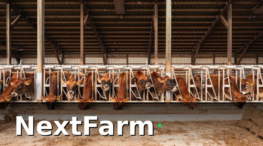 NextFarm — Tại Sao Trang Trại Bò Sữa Cần Phần Mềm Quản Lý?