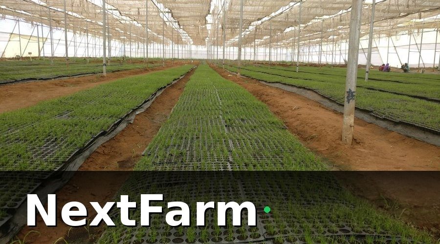NextFarm — Tại Sao Công Nghệ Là Chìa Khóa Cho Phát Triển Nông Nghiệp Bền Vững?
