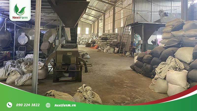 [Phú Thọ] NextFarm triển khai truy xuất nguồn gốc QRCheck cho xưởng Utea Phú Thọ – Cây chè