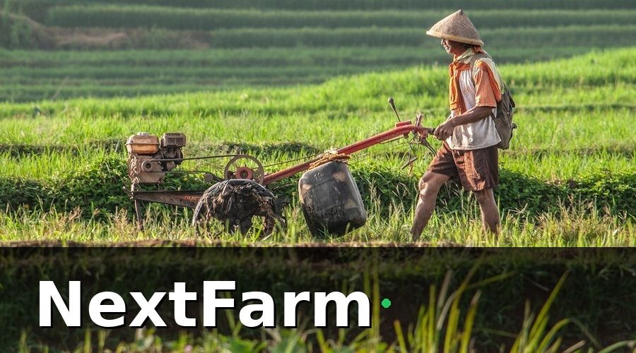 NextFarm — IPM Là Gì? Tại Sao Quan Trọng Với Nông Dân Việt Nam?