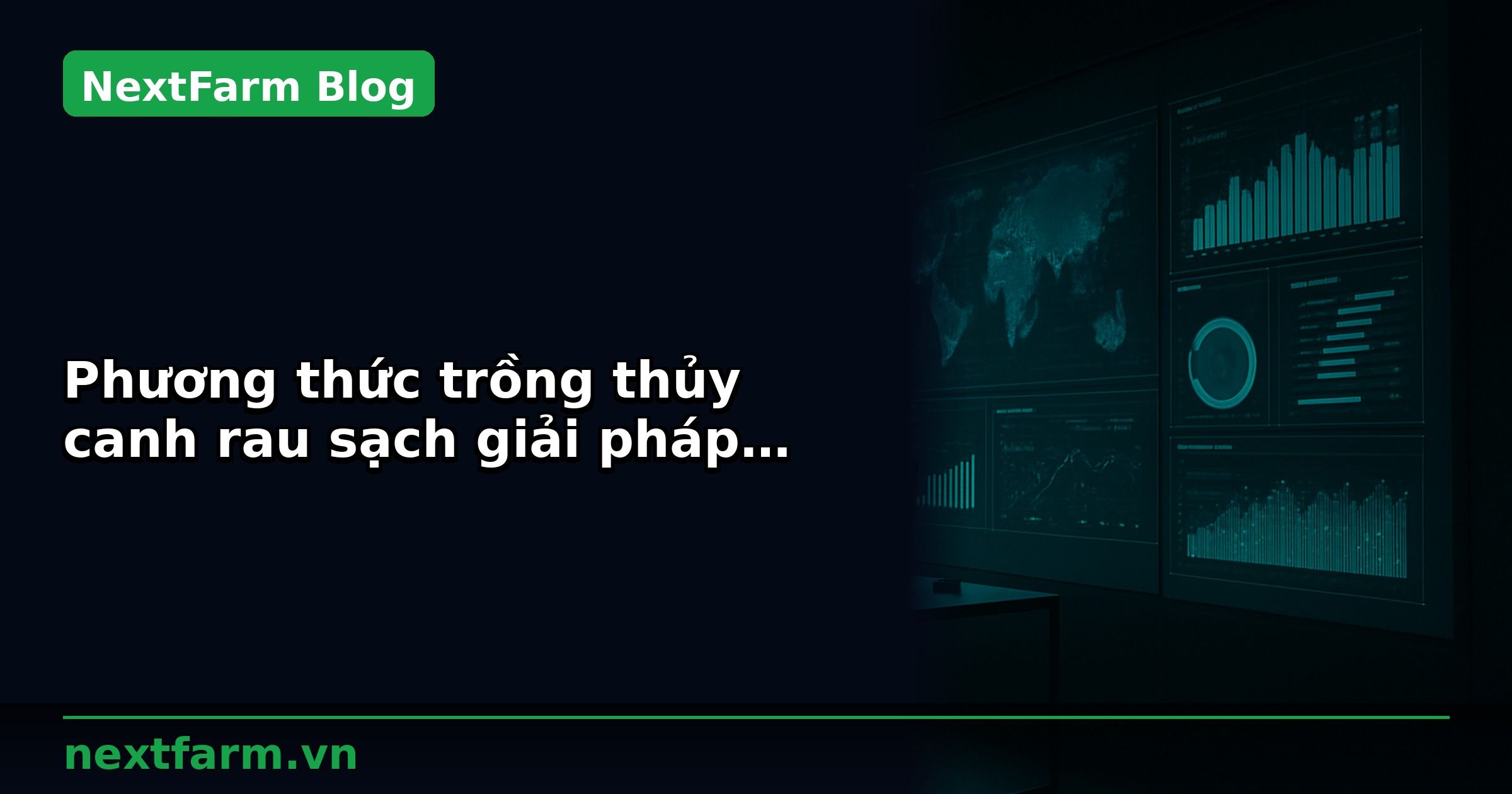 Phương thức trồng thủy canh rau sạch giải pháp thủy canh NextX