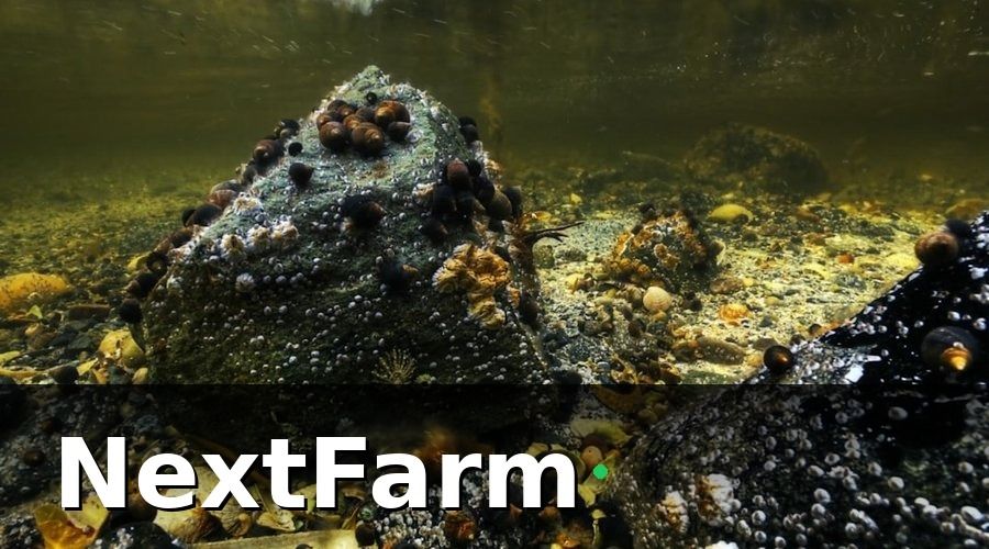 NextFarm — Bước 1 — Lắp Đặt Hệ Thống IoT Giám Sát Ao Nuôi 24/7