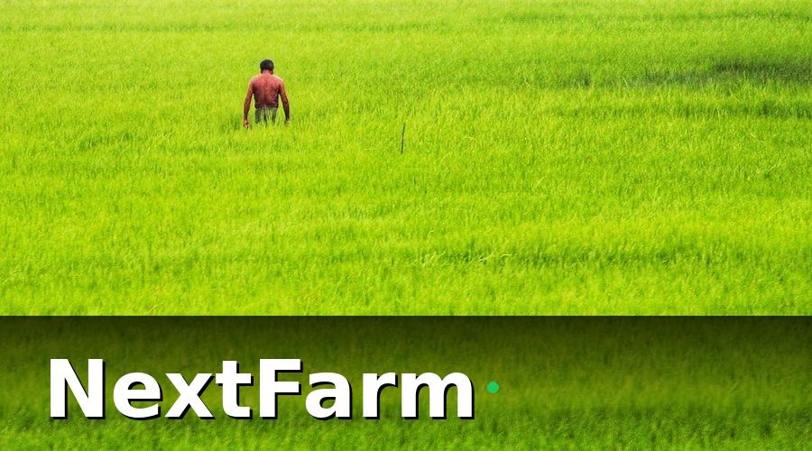 NextFarm — Tại Sao Quản Lý Canh Tác Lúa Theo Cách Cũ Đang Là Điểm Yếu Lớn?