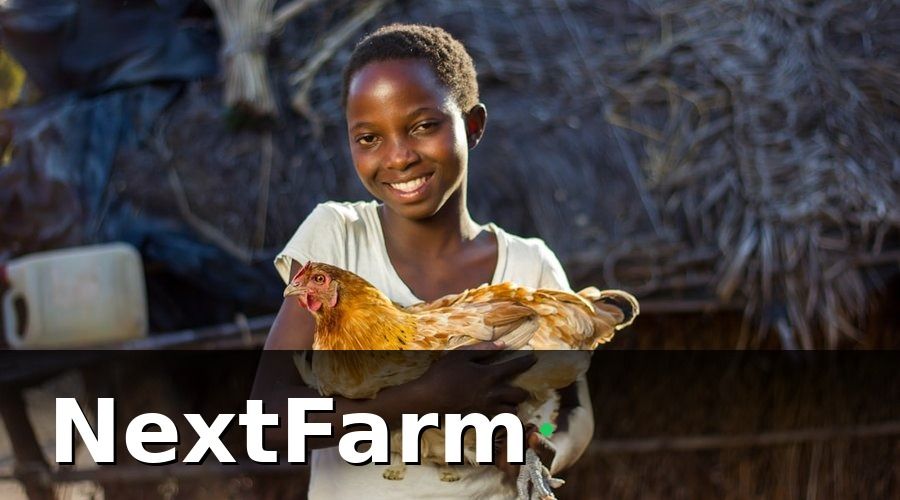 NextFarm — Bước 1: Thiết Lập Hồ Sơ Đàn Gia Cầm Ngay Từ Đầu