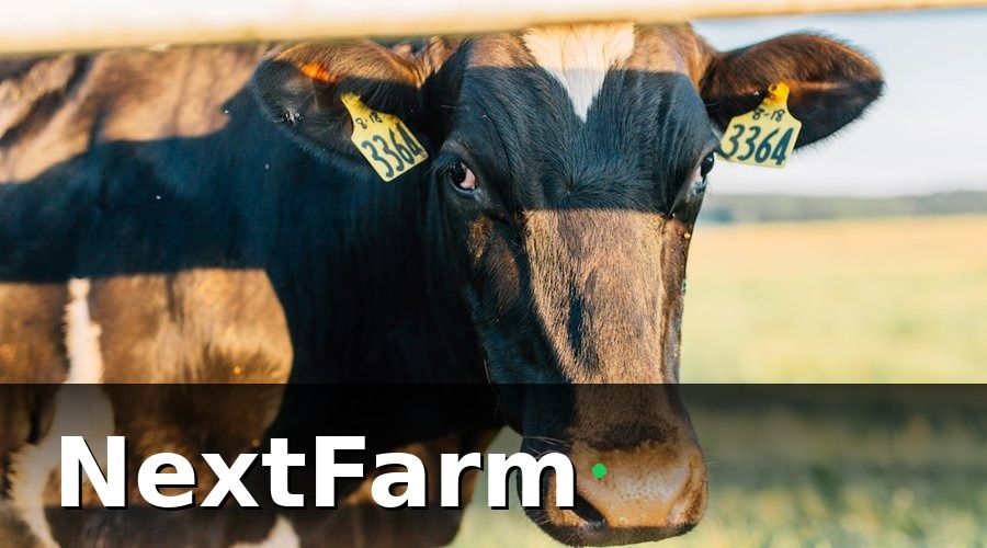 NextFarm — Bước 1: Thiết Lập Danh Mục Kho Thức Ăn Chuẩn Hóa