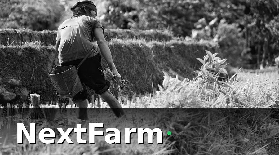 NextFarm — Tại Sao Quản Lý Nhà Kính Tại Đà Lạt Cần Nâng Cấp?