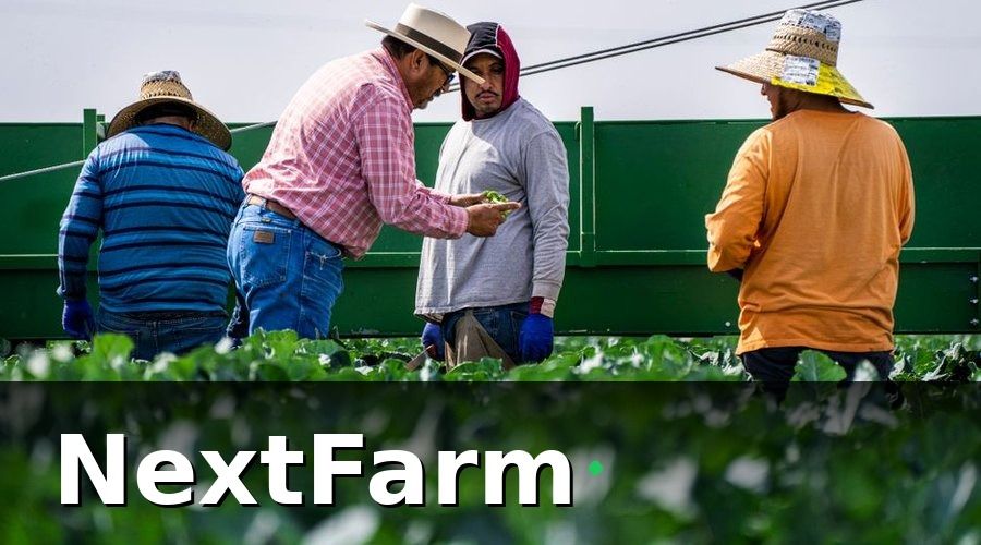NextFarm — Tích hợp dữ liệu chấm công và tính lương