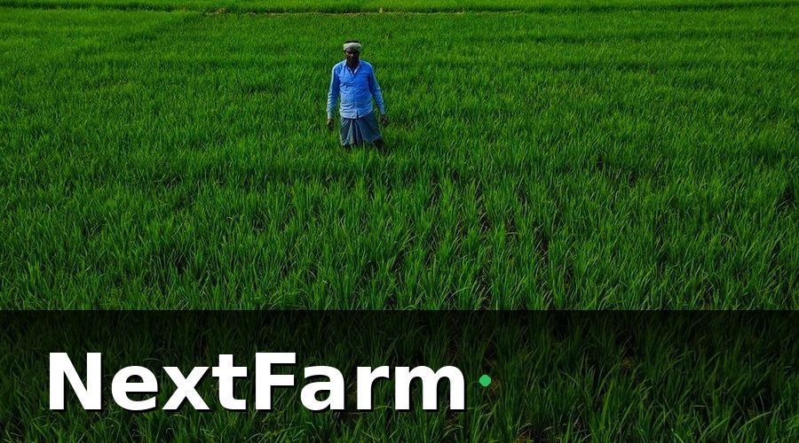 NextFarm — Tại sao doanh nghiệp nông nghiệp cần quản lý nhân sự số hóa?