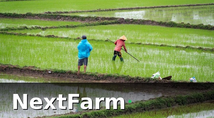 NextFarm — Tính công và lương theo dữ liệu bay