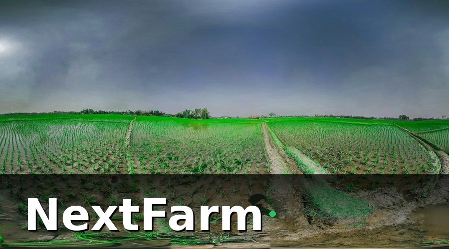 NextFarm — Ứng dụng công nghệ vào quản lý nhân sự