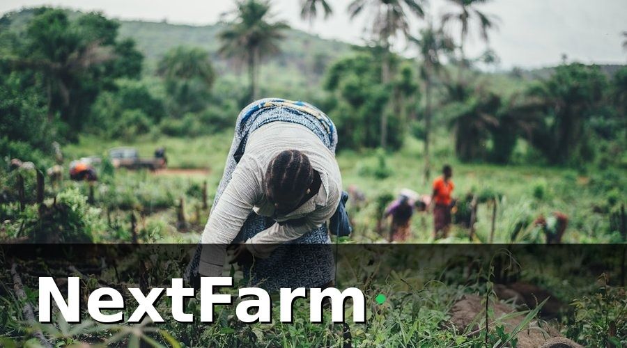 NextFarm — Tại sao quản lý nhân sự trong nông trại hữu cơ khác so với nông nghiệp thông thường?