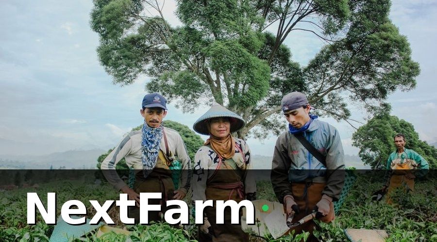 NextFarm — Phân loại lao động trong ruộng lúa nước