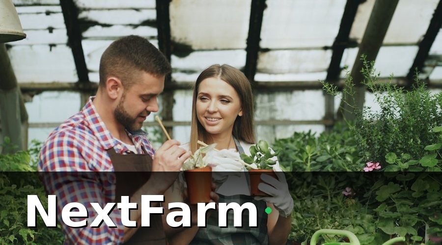 NextFarm — Vì sao nhà kính cần quy trình quản lý nhân sự riêng?