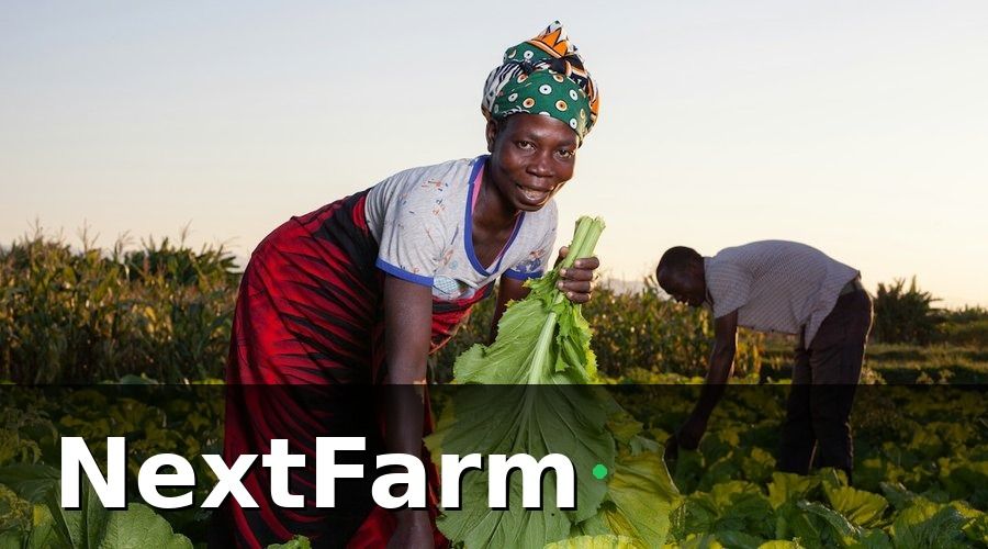NextFarm — Xác định nhu cầu nhân sự theo từng mùa vụ