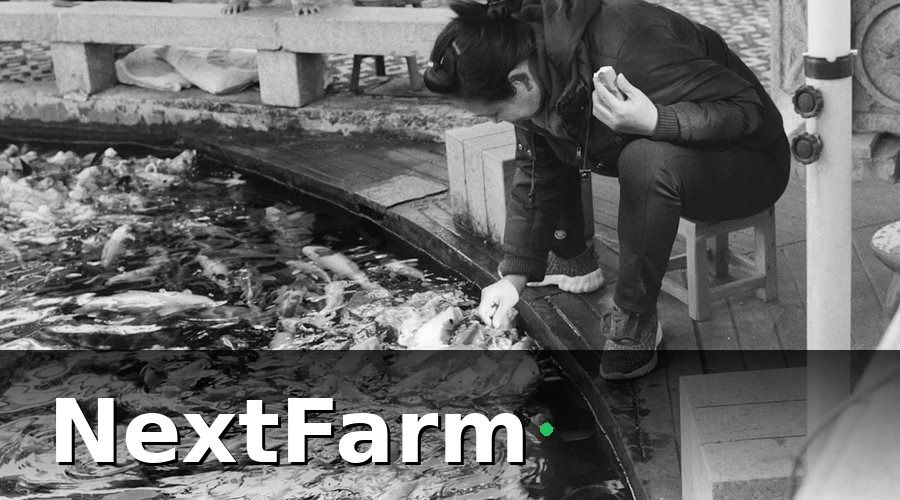 NextFarm — Vì sao quản lý nhân sự ao cá khác với các ngành khác?