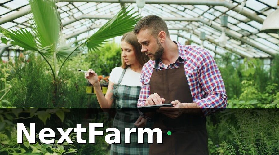 NextFarm — Tại sao quản lý nhân sự trang trại thủy canh lại phức tạp hơn nhiều người nghĩ