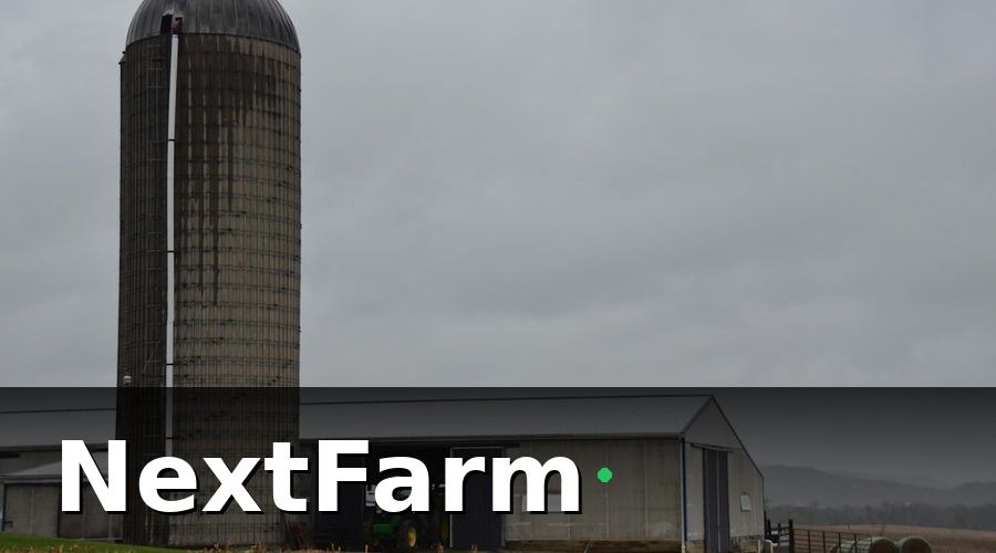 NextFarm — Các mô hình xếp ca phổ biến trong trang trại heo