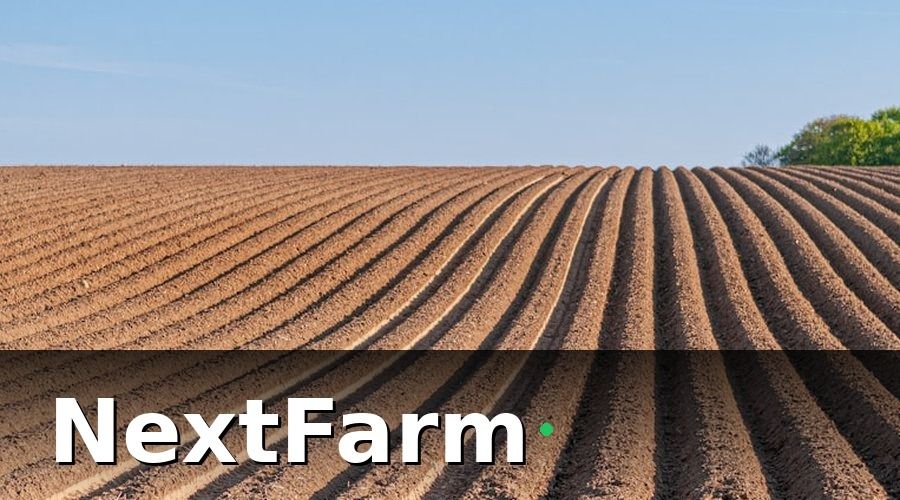 NextFarm — Bước 2 — Xây dựng bảng chấm công chuẩn