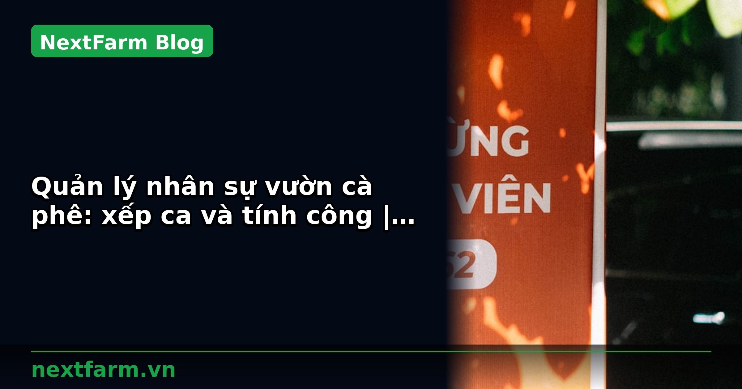 Quản lý nhân sự vườn cà phê: xếp ca và tính công | NextFarm