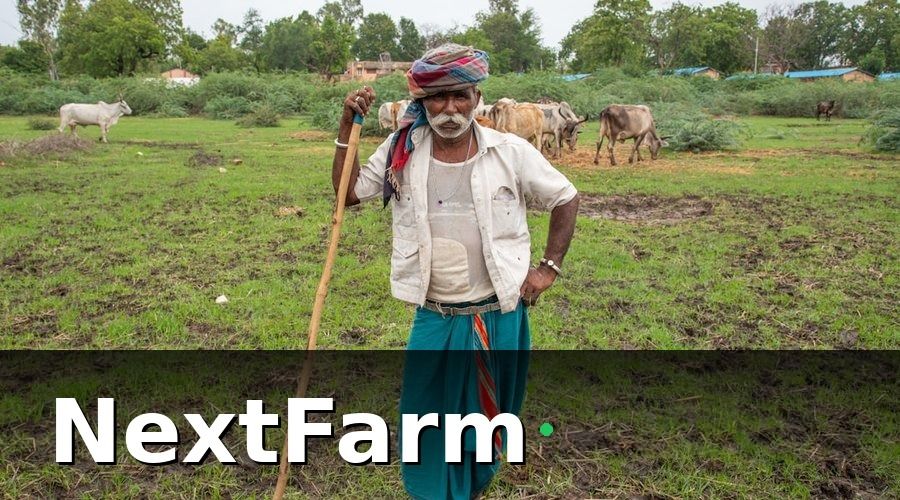 NextFarm — Cách tính công và quyết toán cuối đợt