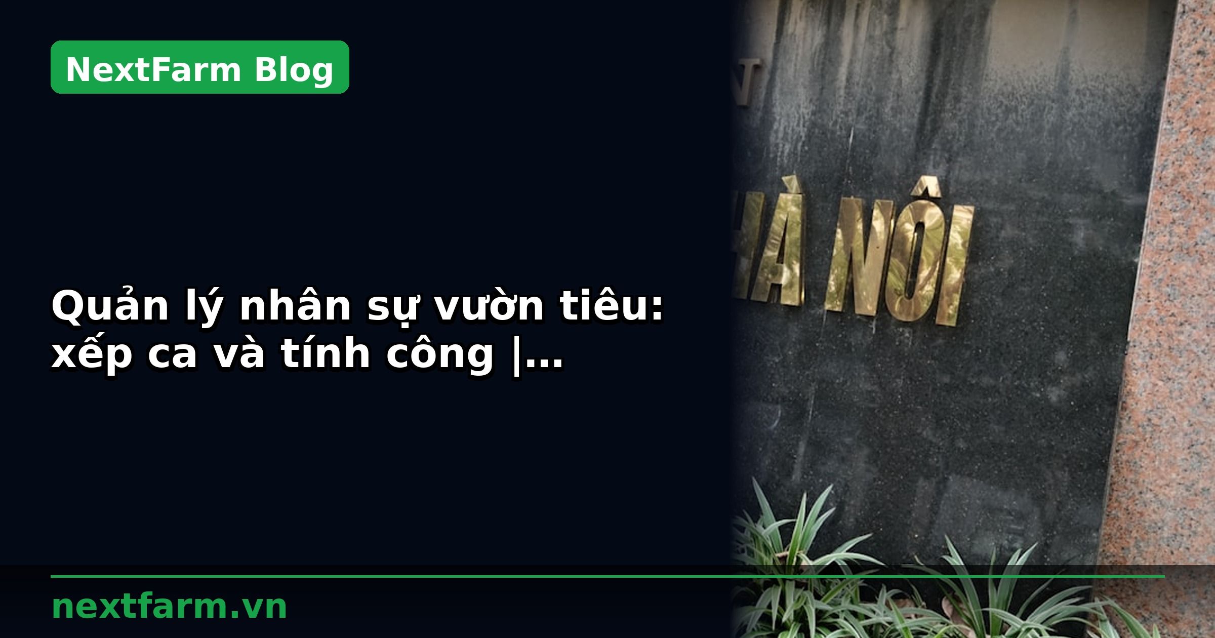 Quản lý nhân sự vườn tiêu: xếp ca và tính công | NextFarm