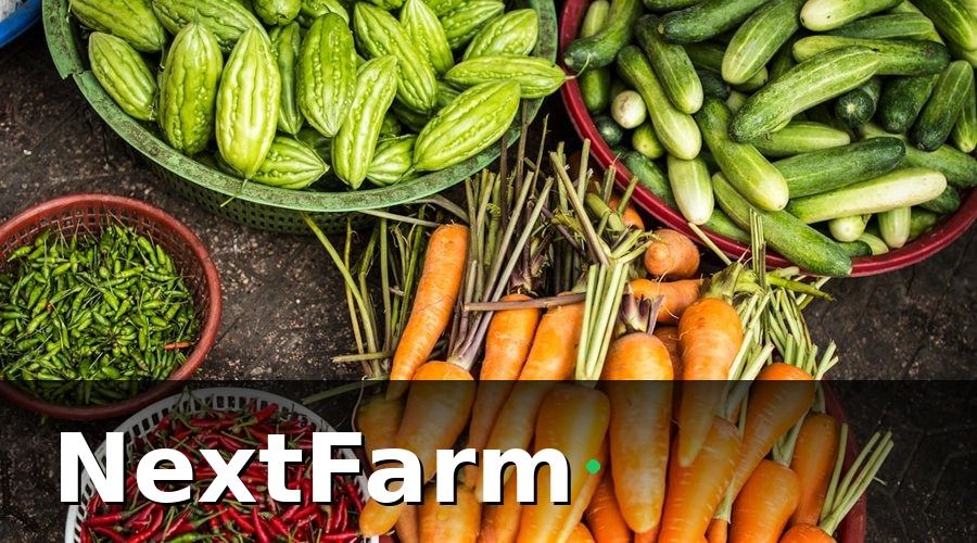 NextFarm — 1. Tại Sao Quản Lý Rau Sạch Đúng Chuẩn Lại Quan Trọng Đến Vậy?