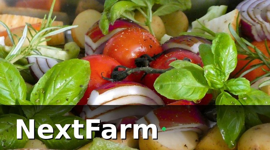 NextFarm — 3. Sai Lầm Phổ Biến Khi Quản Lý Rau Sạch