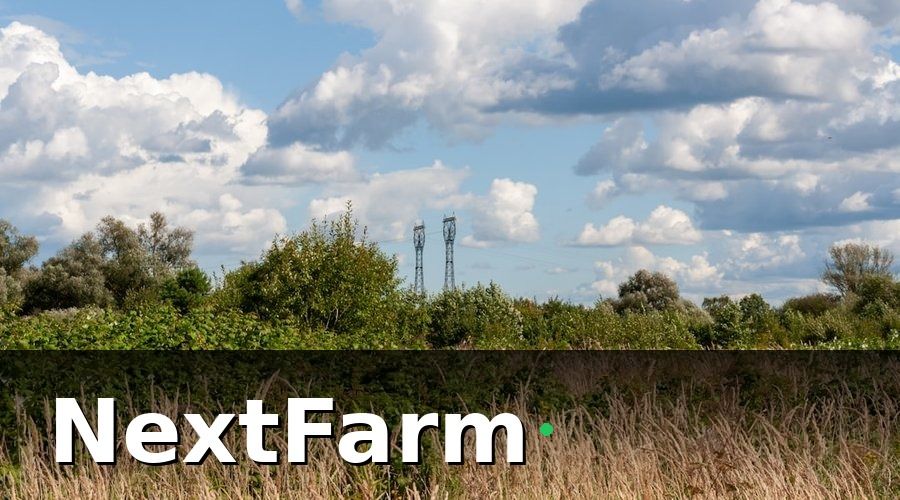 NextFarm — Bước 1: Lập Kế Hoạch Sản Lượng Theo Mùa Vụ