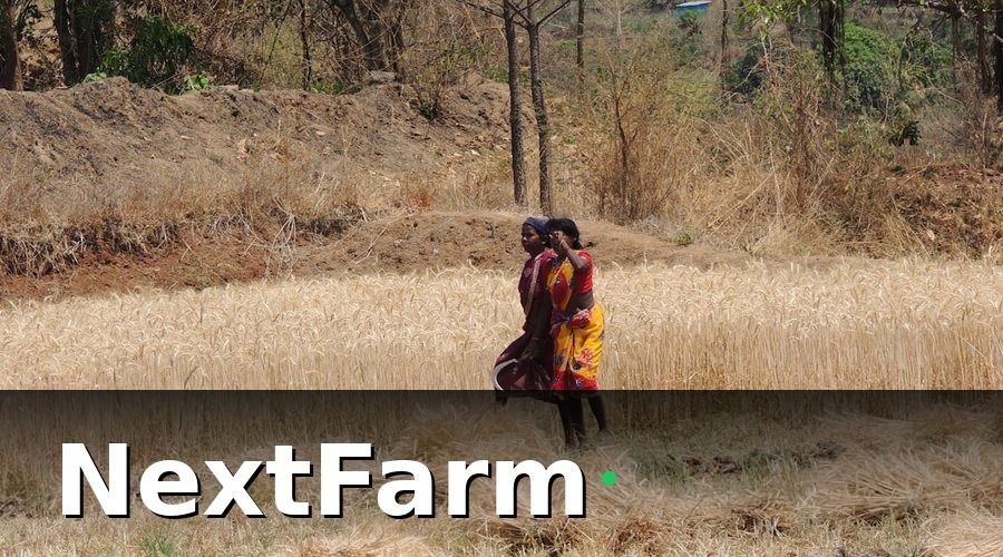 NextFarm — Bước 2: Giám Sát Tiến Độ Canh Tác Trong Mùa Vụ