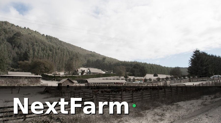 NextFarm — Vì Sao Quản Lý Trang Trại Bò Sữa Truyền Thống Đang