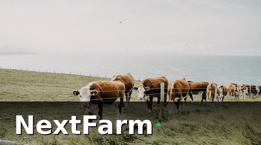 NextFarm — Bước 1: Số Hóa Chuồng Trại Bằng Cảm Biến IoT