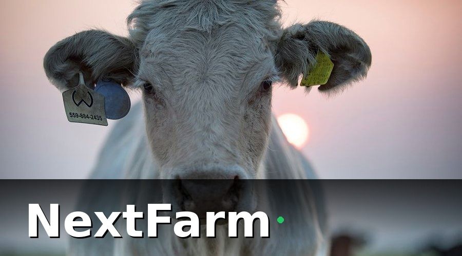 NextFarm — Bước 2: Xây Dựng Hồ Sơ Số Từng Con Bò