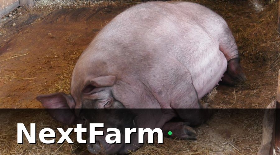 NextFarm — Bước 1: Lập Bản Đồ Chuồng Trại và Phân Khu Quản Lý