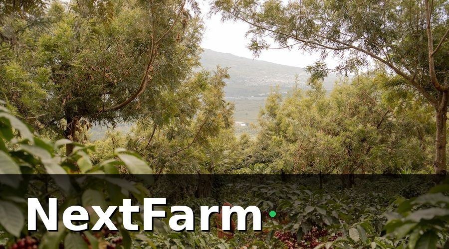 NextFarm — Bước 1: Lập bản đồ vườn và phân chia lô thửa